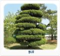 2022년 11월 26일 (토) 14:12 판의 섬네일